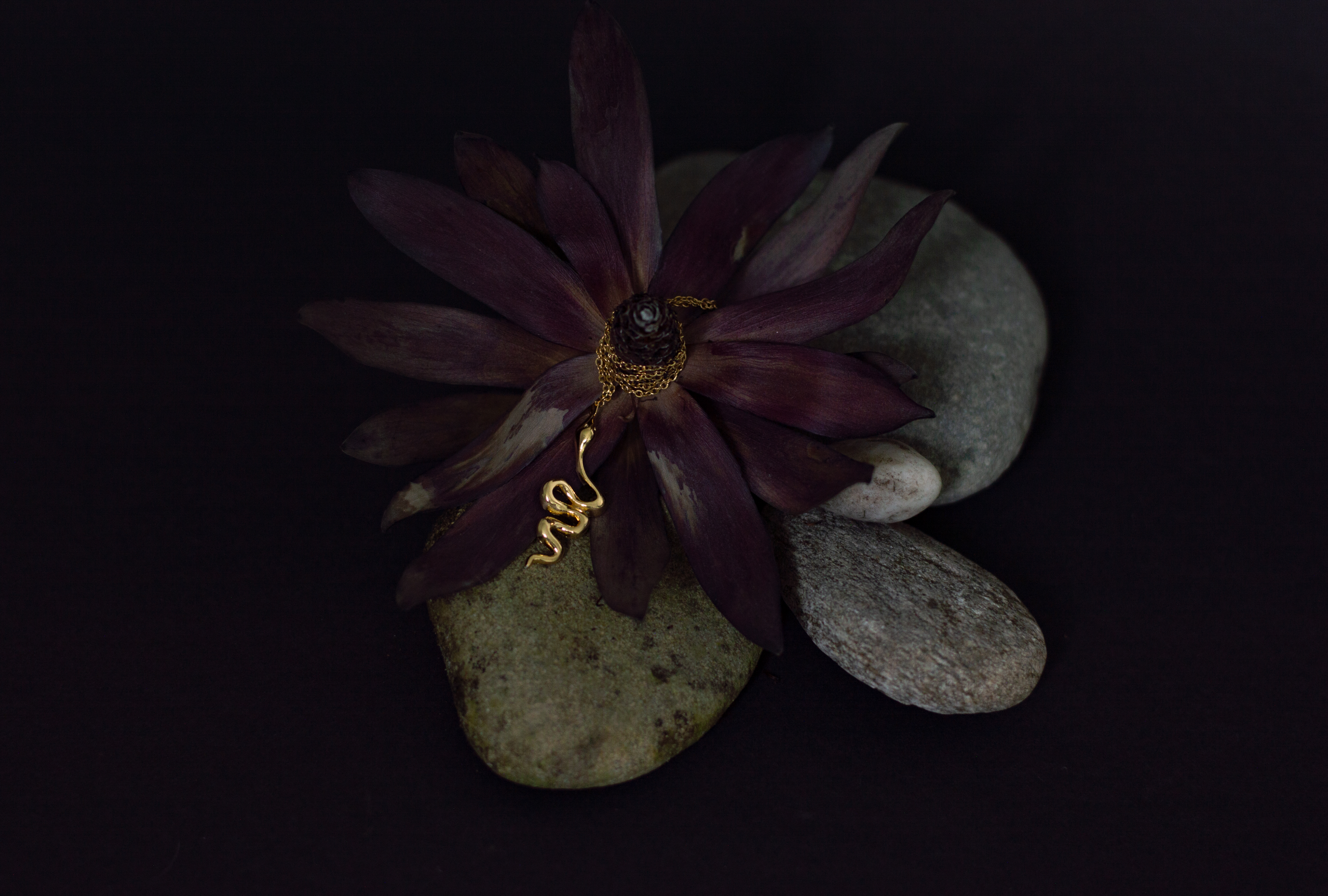 New to the Shop