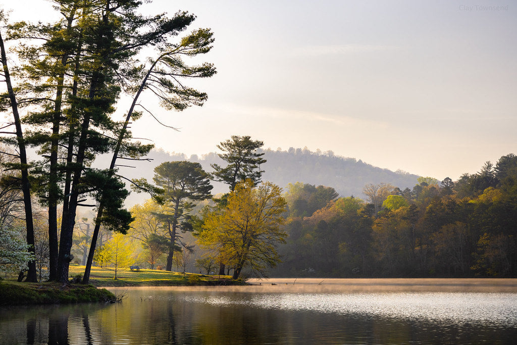 Walking the Path, Inside the Simulation