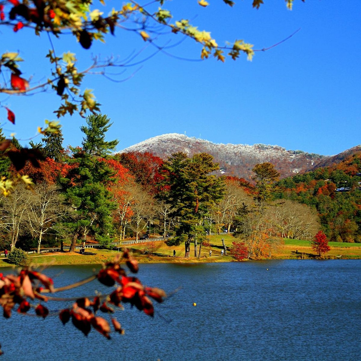 Spotlight On: North Asheville
